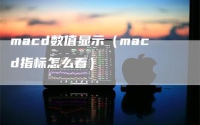 macd数值显示（macd指标怎么看）