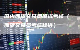 国内期货交易员模拟考核（期货交易员考核标准）
