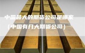 中国最大的期货公司是哪家（中国有几大期货公司）