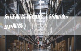 东证期货新加坡（新加坡sgp期货）