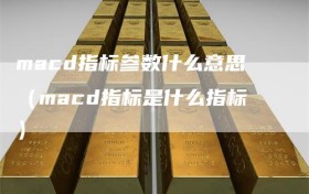 macd指标参数什么意思（macd指标是什么指标）