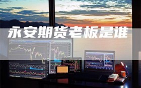 永安期货老板是谁