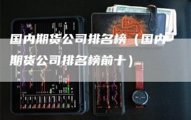 国内期货公司排名榜（国内期货公司排名榜前十）