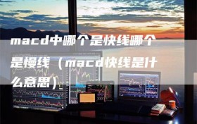 macd中哪个是快线哪个是慢线（macd快线是什么意思）