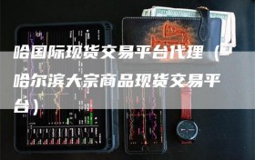 哈国际现货交易平台代理（哈尔滨大宗商品现货交易平台）