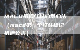 MACD指标红柱心得心法（macd第一个红柱标记指标公式）