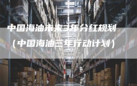 中国海油未来3年分红规划（中国海油三年行动计划）