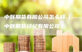 中辉期货有限公司怎么样（中辉期货经纪有限公司）