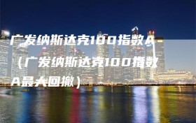 广发纳斯达克100指数A（广发纳斯达克100指数A最大回撤）