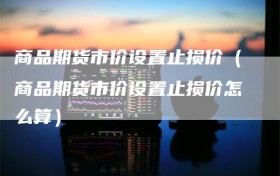 商品期货市价设置止损价（商品期货市价设置止损价怎么算）