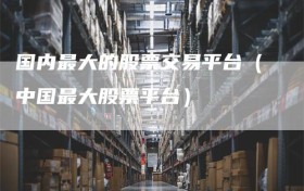 国内最大的股票交易平台（中国最大股票平台）