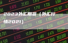 2023外汇期货（外汇行情2021）