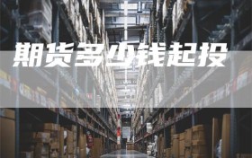 期货多少钱起投