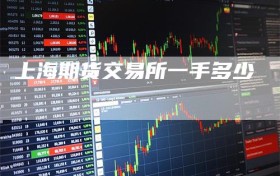 上海期货交易所一手多少