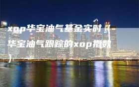 xop华宝油气基金实时（华宝油气跟踪的xop指数）
