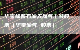 华宝标普石油天然气上游股票（华宝油气 股票）