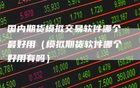 国内期货模拟交易软件哪个最好用（模拟期货软件哪个好用有吗）