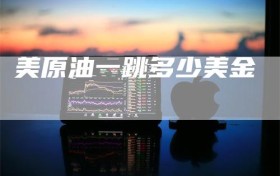 美原油一跳多少美金