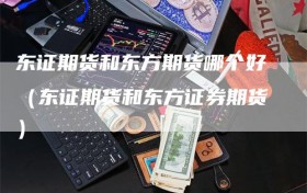 东证期货和东方期货哪个好（东证期货和东方证券期货）