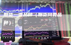 期货一类品种（期货同类品种）