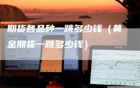 期货各品种一跳多少钱（黄金期货一跳多少钱）