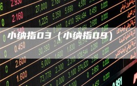 小纳指03（小纳指09）