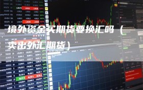 境外资金买期货要换汇吗（卖出外汇期货）