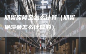 期货保障金怎么计算（期货保障金怎么计算的）