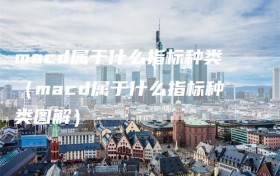 macd属于什么指标种类（macd属于什么指标种类图解）