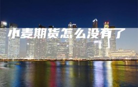 小麦期货怎么没有了