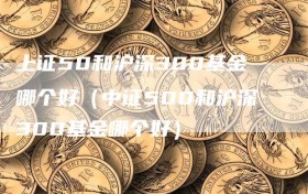 上证50和沪深300基金哪个好（中证500和沪深300基金哪个好）