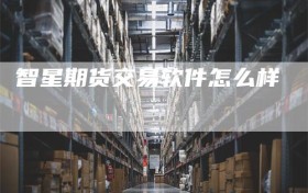 智星期货交易软件怎么样