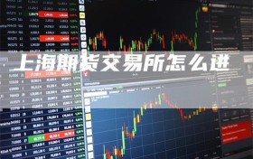 上海期货交易所怎么进