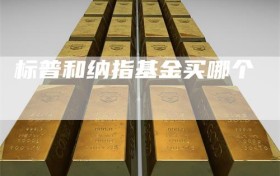 标普和纳指基金买哪个