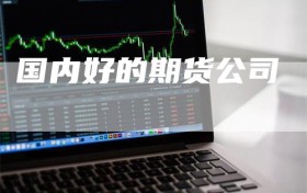 国内好的期货公司