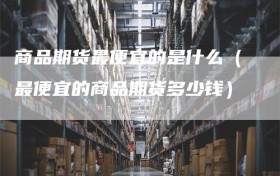 商品期货最便宜的是什么（最便宜的商品期货多少钱）