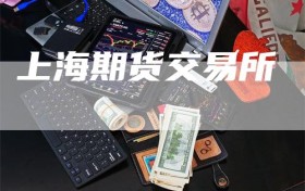 上海期货交易所