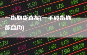 一指期货直播(一手股指期货合约)