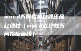 macd背离看黄白线还是红绿柱（macd红绿柱背离指标画线）