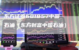 东方证券601857中国石油（东方财富中国石油）
