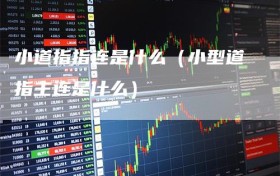 小道指指连是什么（小型道指主连是什么）
