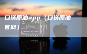 口袋原油app（口袋原油官网）