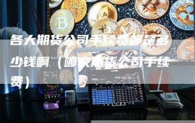 各大期货公司手续费都是多少钱啊（哪家期货公司手续费）