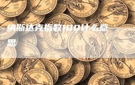 纳斯达克指数100什么意思