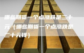 哪些期货一个点涨跌是二十元（哪些期货一个点涨跌是二十元钱）