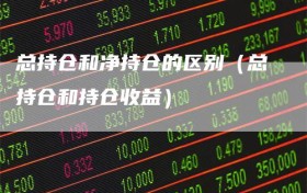 总持仓和净持仓的区别（总持仓和持仓收益）