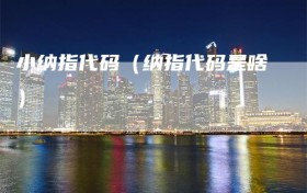 小纳指代码（纳指代码是啥）
