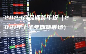 2023商品期货年报（2021年上半年期货市场）