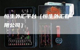 恒生外汇平台（恒生外汇有限公司）