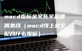 macd指标金叉死叉是哪两条线（macd线上金叉配合什么指标）
